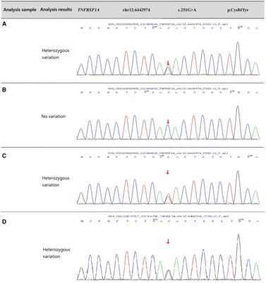 Frontiers | tumor necrosis factor receptor-associated cycle syndrome: a